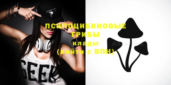 мяу мяу мука Арсеньев