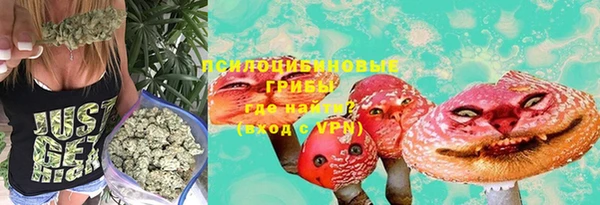 PSILOCYBIN Армянск