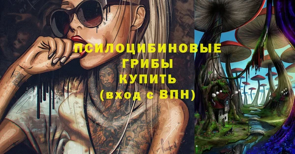 гидропоника Аркадак