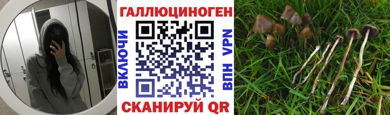 купить наркоту Асбест Псилоцибиновые грибы Magic Shrooms
